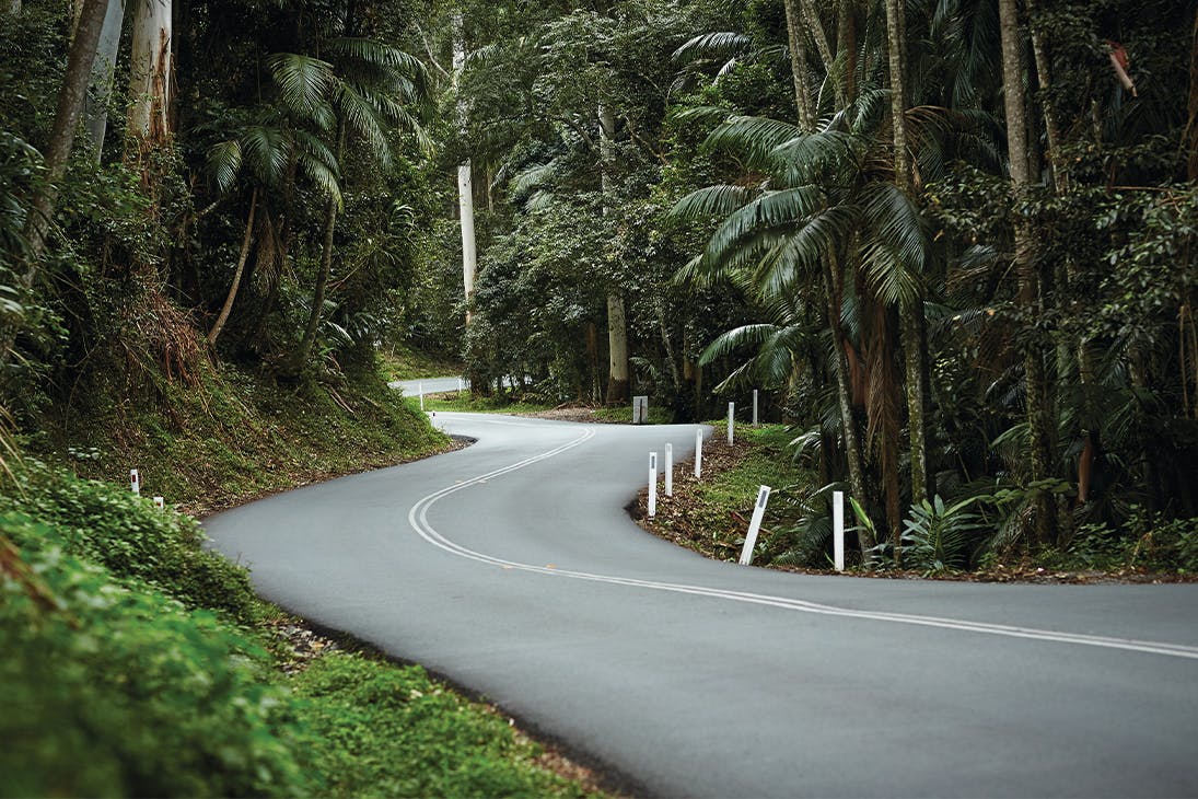 An atmospheric winding two lane road fringed by rainforest disappearing around a bend